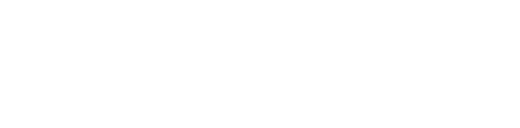 Swiss Plus