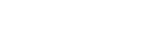 Swiss Plus
